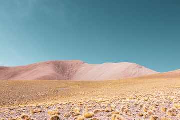 Paisaje de altiplano con llanura dorada y montañas suaves bajo cielo azul despejado

