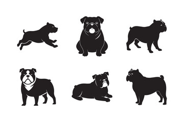 English Bulldog Silhouette Bundle Six Habitual Poses