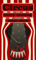 The circus poster invites you to a grand magical show every evening