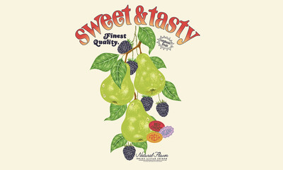 Sweet and tasty. Organic fruit farm. Pear club print design. Organic artwork for t shirt print,...