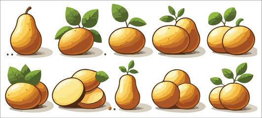 Vector set of fresh potatoes