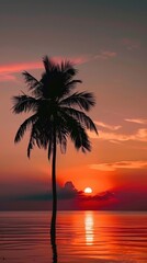 Coconut Tree Silhouette Sunset Beach Tropical Horizon