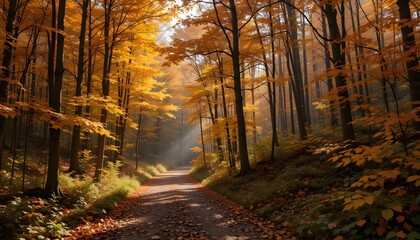Autumn Forest Path Scenic forest trail during autumn, vibrant orange and yellow leaves, sunbeams filtering through trees, natural peaceful vibe