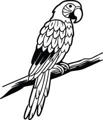 Macaw Parrot Silhouette Vector Illustration  
