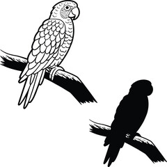 Realistic Parrot Silhouette Vector Illustration  
