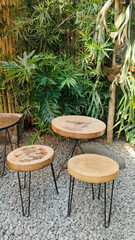 Three wooden chairs sit on gravel near lush green plants