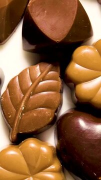 Top view of various kind of dark brown chocolate pieces on plate.