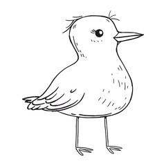 Standing Seagull Sketch – Hand Drawn Seabird in Black and White Illustration