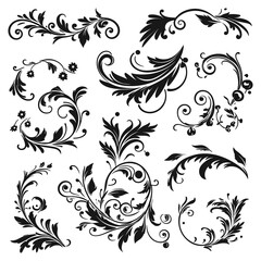 Elegant Floral Swirl Ornaments and Decorative Vector Flourishes Set