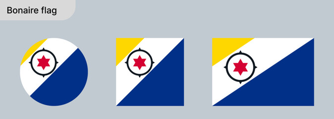 
Bonaire Flag &ndash; Vector Illustration on Gray Background

