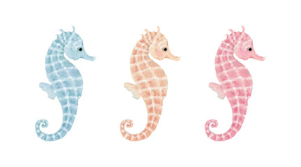 Cute seahorse in different colored, watercolor isolated illustration for your design, hand-drawn set of sea animals.