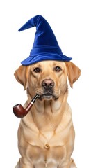 A whimsical wizard labrador retriever wearing a starry hat and smoking a pipe, perfect for fantasy, storybook, or magical-themed designs
