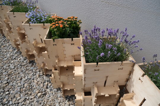 flowers on the wall