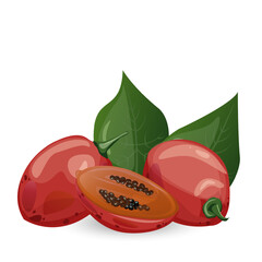 Tamarillo. Exotic tropical tomato tree fruit. For food blogs or recipe websites, packaging, catalogs or educational posters, menus, printables and teaching materials