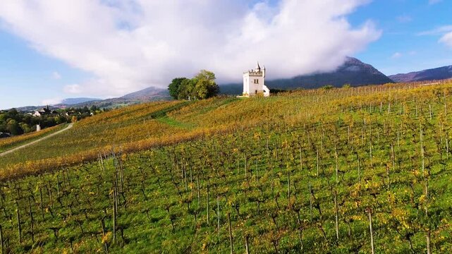 Golden vineyards in Switzerland during spring with a small castle and mountains in the background. A scenic landscape capturing the beauty of winemaking and nature. High quality FullHD footage