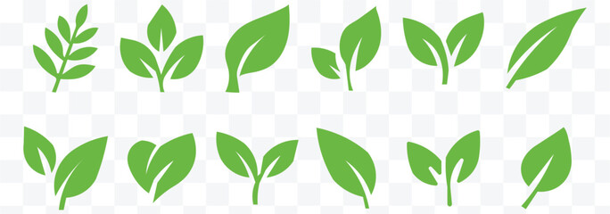 Set of green leaf icons. Green color. Leaves  green color icon logo. Ecology. Vector illustration eps 10