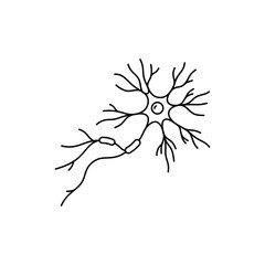 Fototapeta premium Black line icon of neuron with dendrites axon and synapse connection structure