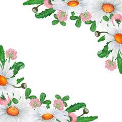 Watercolor corner frame of chamomile and herbs. Design of greeting cards, invitations