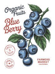 Blueberry Fruit Vintage Print – Organic Fresh Berries Cluster with Farmers Market California and Locally Grown Stamps, Red and Navy Script Text, Clean White Background, Detailed Leaf Illustration