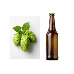 Flat lay of a hop cone and craft beer label mockup elements isolated on transparent background