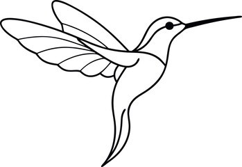 Obraz premium Elegant Hummingbird Outline Sketch