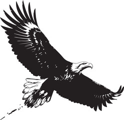 Black and white vector illustration of a soaring eagle