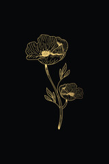 Luxury dark art black background with flowers in golden line style. Set of hand drawn vector botanical posters for print design, wallpapers, decor, interior design, invitations