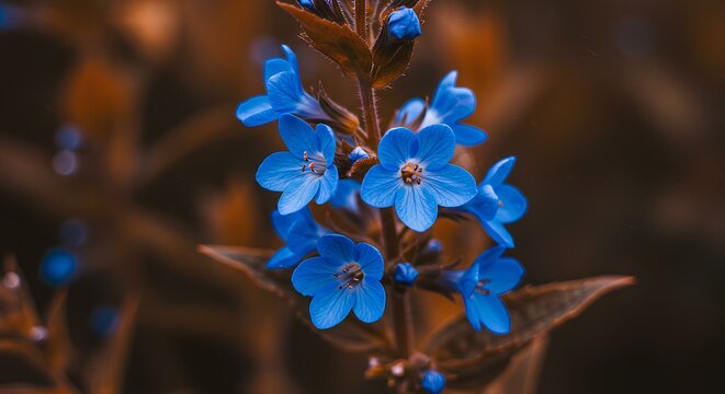 Close-up of vibrant blue wildflowers in a natural setting
