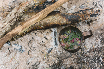Mug of flower tea on a fire in the forest