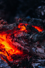 fire in the fire