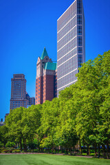 Brooklyn skyline with landmark buildings viewed from Cadman Plaza Park in New York, USA