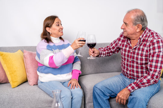 Senior couple toasting with red wine on sofa at home