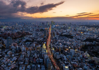 Aerial  view of Downtown Tokyo at sunset