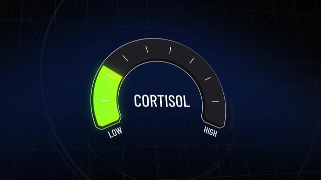Animated digital gauge displays cortisol level, ranging from safe low to critical high, indicator changes through green, yellow, and red levels on dashboard.