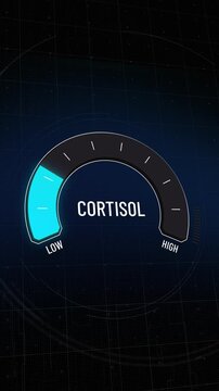 Animated digital cortisol gauge level fluctuating from safe low to critical high, stress meter display, indicator of hormonal imbalance, anxiety measurement, wellbeing evaluation tool, copy space