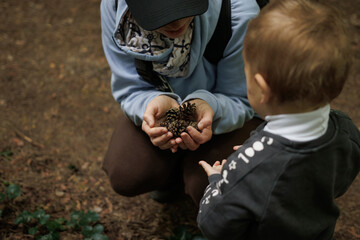 
Close-up of mom showing pine cones to toddler during nature walk. Mother and child exploring forest, outdoor learning moment, connection with nature.