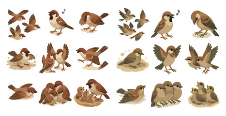 Obraz premium Bird behavior outline icons set – silhouette, line, avian and wildlife symbols