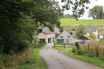 Landwirtschaftliche Gebäude bei Oelinghausen im Arnsberger Wald