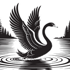 Obraz premium Elegant Black Swan Spreading Wings on Lake at Sunrise – Vector Art