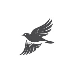 Soaring Bird Silhouette