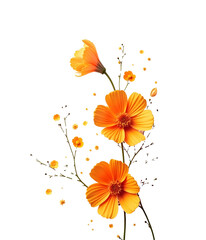 Orange Flowers on White Background Minimal Floral Arrangement on white background

