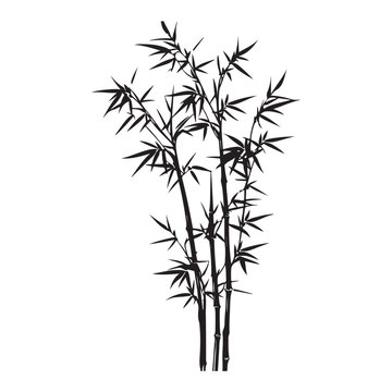 bambus silhouette vector illustration 