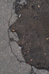 gray old asphalt road with cracks