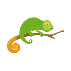 "Ultimate SVG Vector Design Bundle – Abstract, Geometric, Botanical, Mandala, Minimal, Vintage & Modern Elements for Cricut, Laser Cutting, Sublimation, and DIY Crafts"