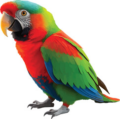 parrot 3d
