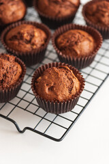 Freshly baked chocolate muffins on a cooling rack. Soft focus