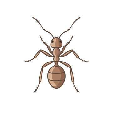 brown ant isolated on white background clip art preview