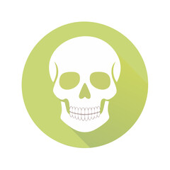 Fototapeta premium Flat Design Skull Symbol Graphic on Green Circle a Death Skeleton Icon Halloween Mortality Concept Design Element Graphic Illustration