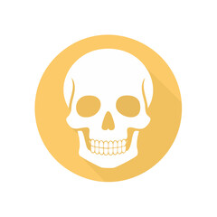 Fototapeta premium White skull on yellow circle symbol for medicine or education flat design minimal scary halloween icon