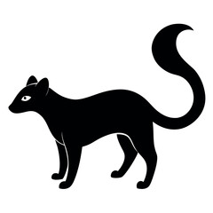 Silhouette of a Black-furred Mammal with a Bushy Tail